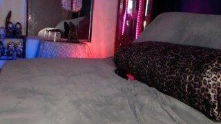 Siren Brooklyn nude on webcam in her Live Sex Chat Room