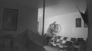 voyeurcam-freakyfeline-01 nude on webcam in her Live Sex Chat Room