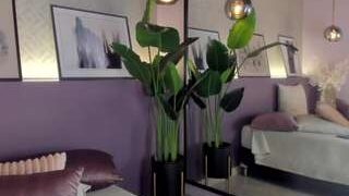 Elle Diane , ? nude on sex cam in XXX Live Sex Chat Room