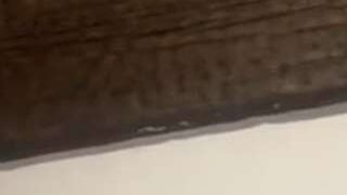 msgushypussy nude on sex cam in XXX Live Sex Chat Room