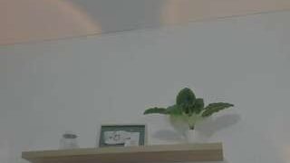 isabela-lopezz nude on sex cam in XXX Live Sex Chat Room