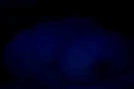 Sal_ma9 nude strip before webcam for live sex xxx chat